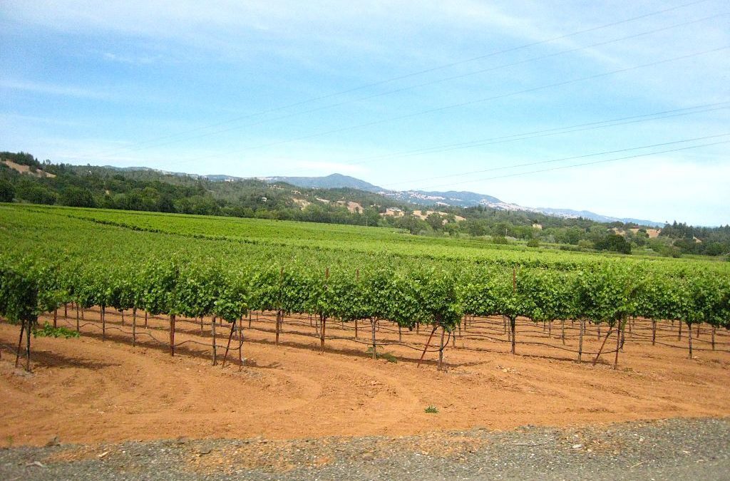 The Most Popular Cycling Routes in Healdsburg, CA