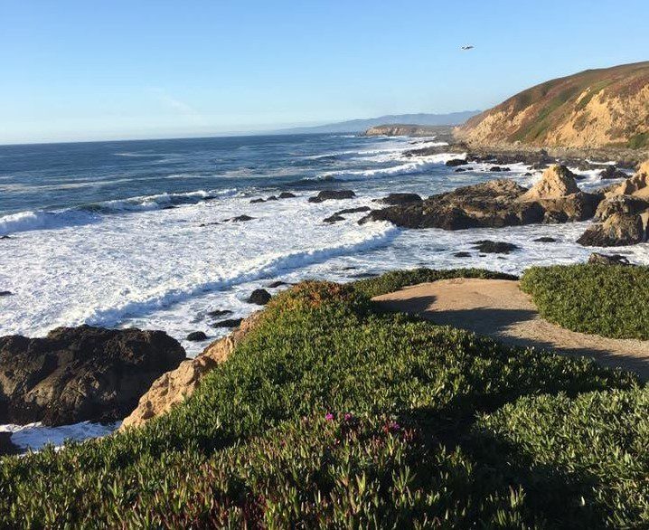 An image of the bodega head trail by the water