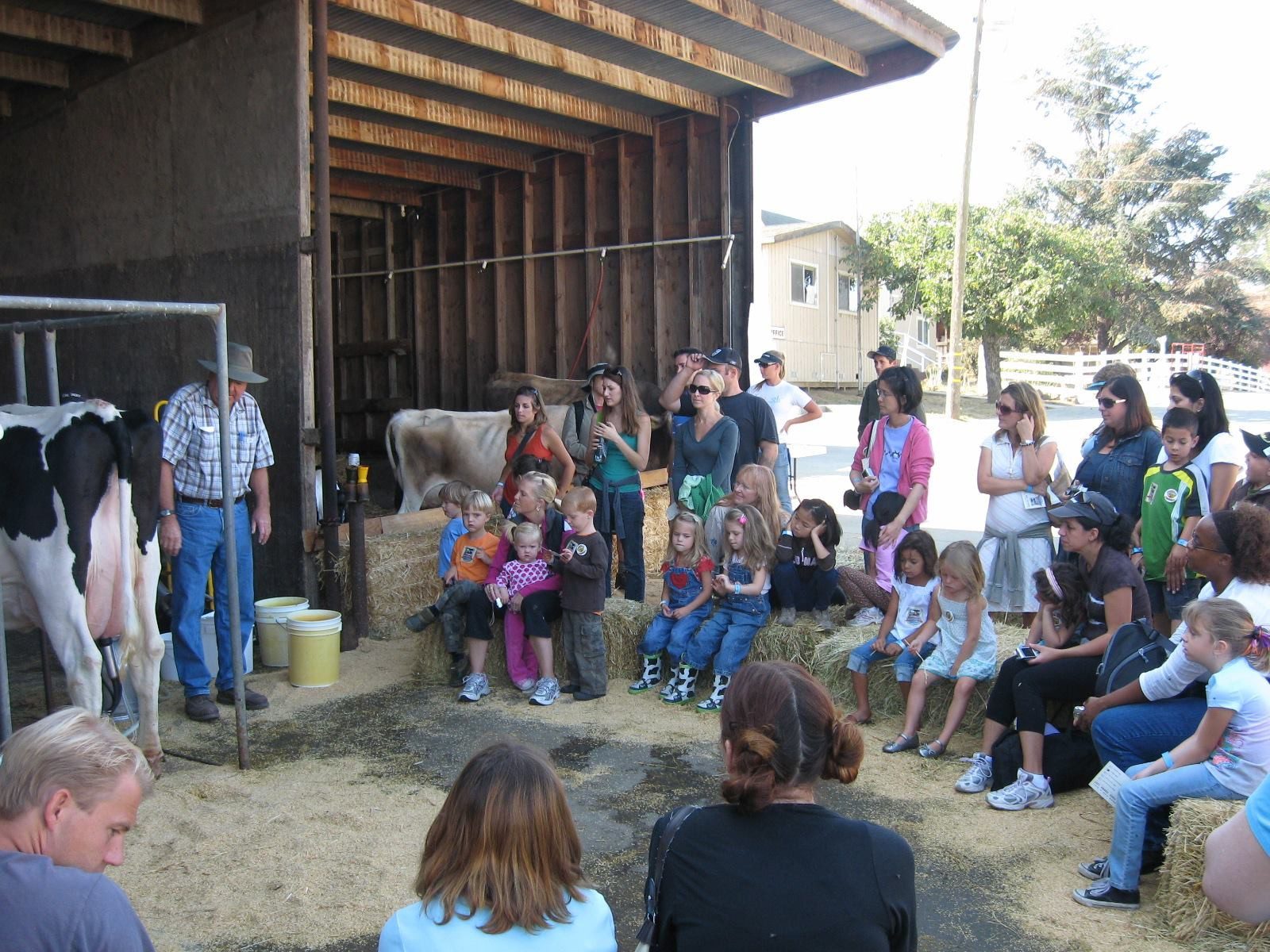 An image of kids taking a farm tour