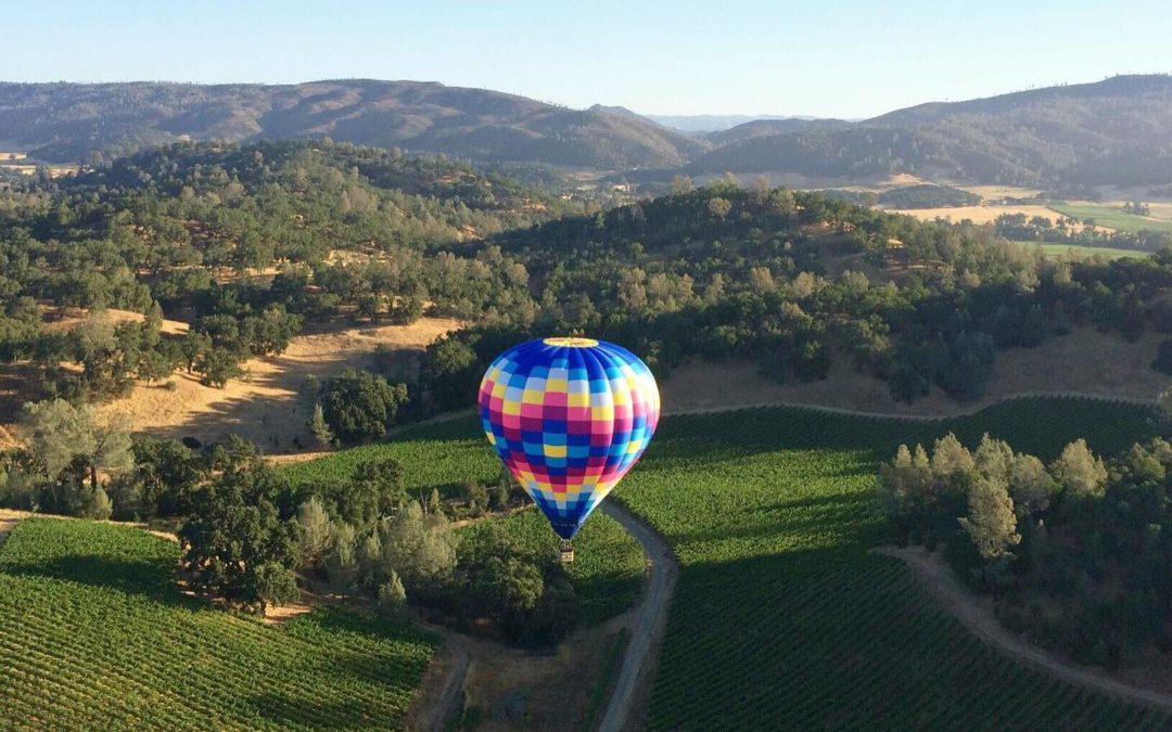 4 Ways to See Healdsburg Wine Country From Above