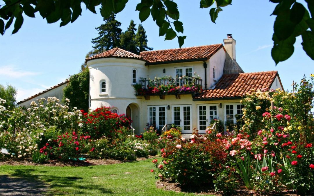 Check Out These Flower Tours on Your Wine Country Vacation