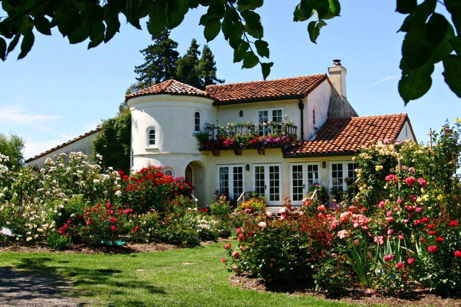 An image a beautiful two story white coloured house with lots of flower bushes around the house