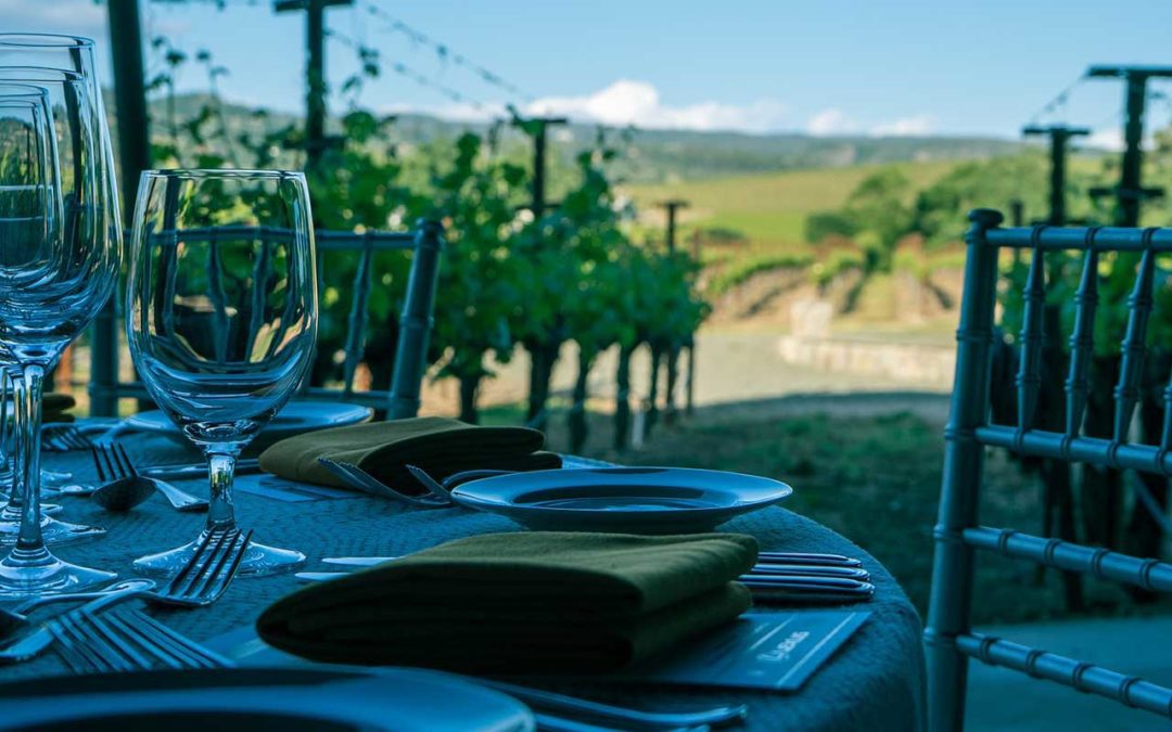 Welcome to Sonoma County, Welcome to Wine Country