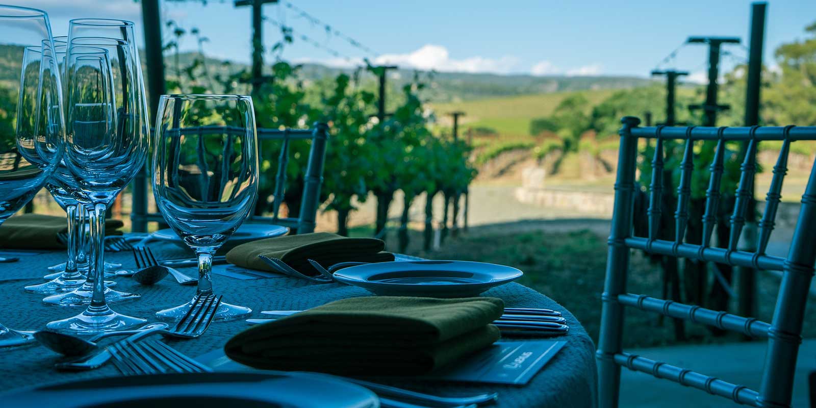 Welcome to Sonoma County, Welcome to Wine Country