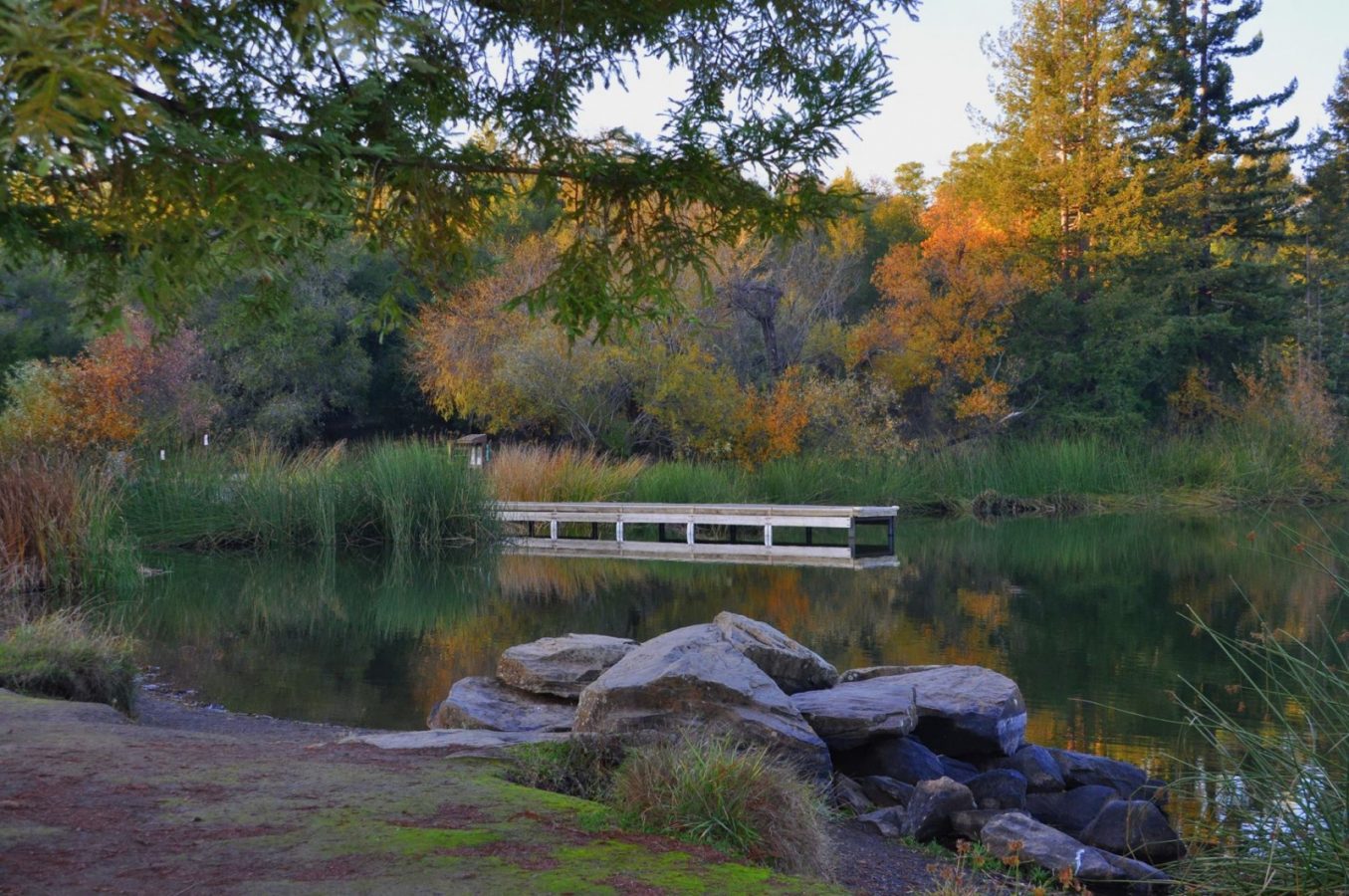 An image of sprink lake regional park