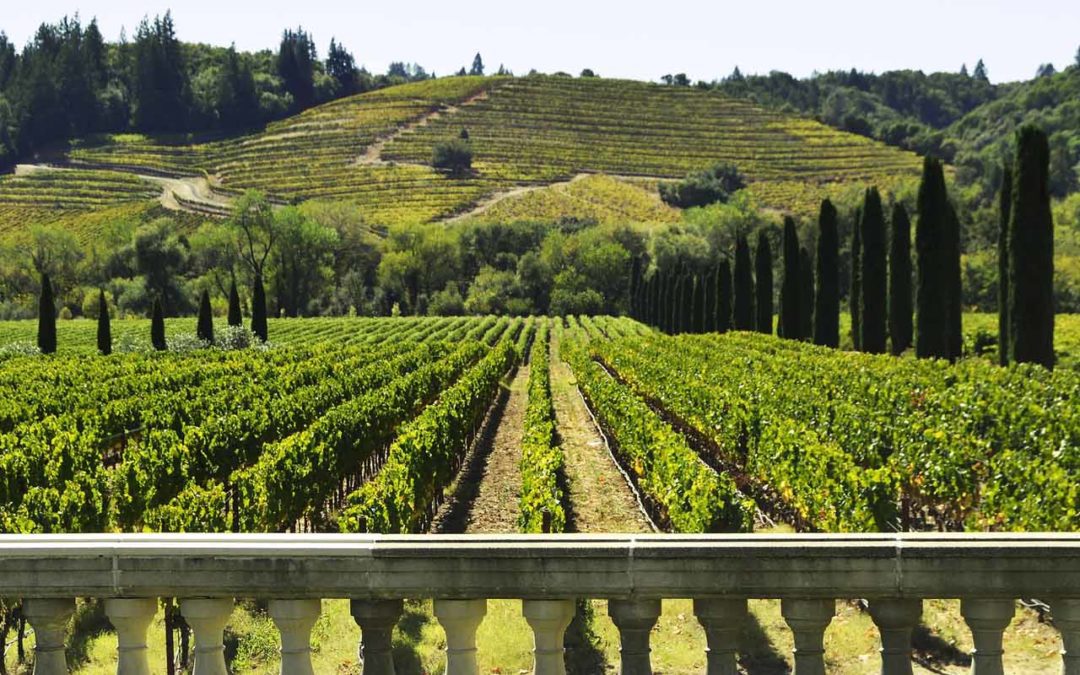 5 Can’t Miss Sonoma Wineries for Your Next Wine Country Vacation