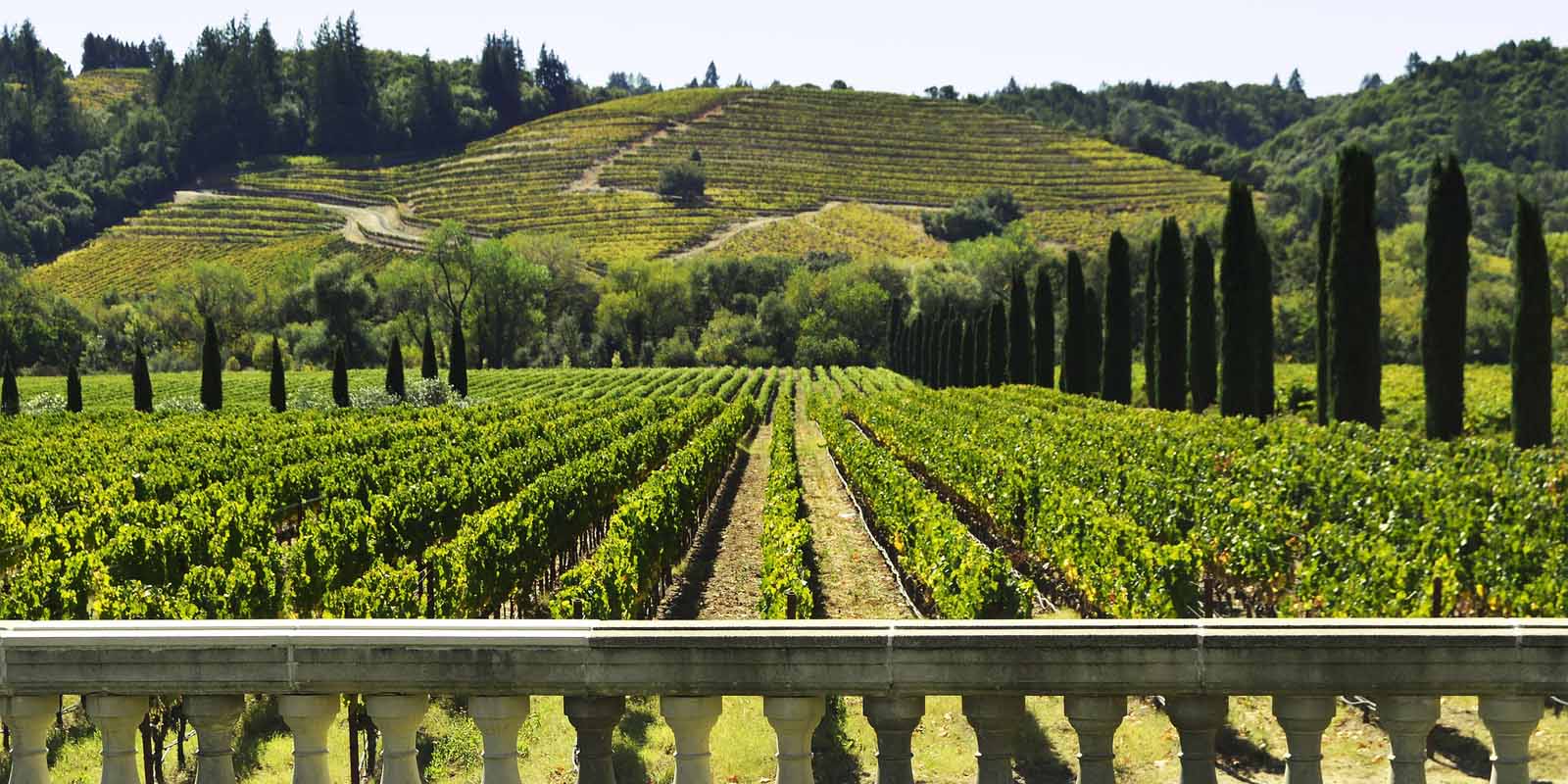5 Can’t Miss Sonoma Wineries for Your Next Wine Country Vacation
