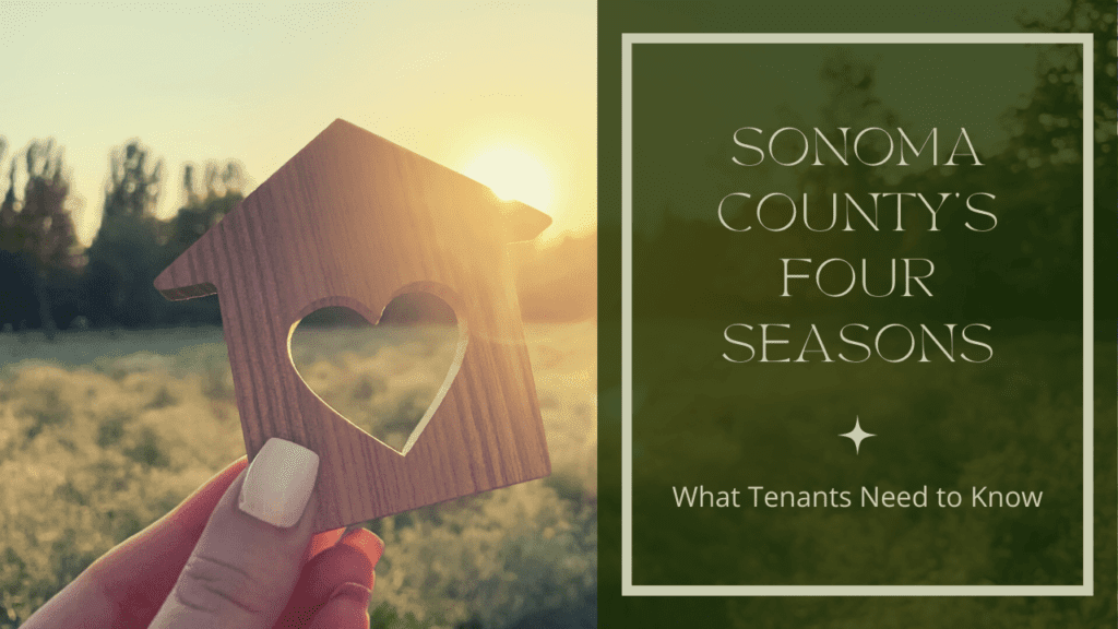 Sonoma County’s Four Seasons - What Tenants Need to Know - Article Banner
